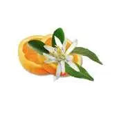Camylle spa/jacuzzi-geur 100% natuurlijk - Orange Blossom: Ontspannend