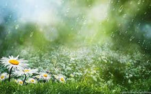 AROMATHERAPIE SunScent Summer Rain - Jacuzzi-producten.nl