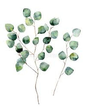 Camylle spa/jacuzzi-geur Eucalyptus 100% natuurlijk: verlicht de luchtwegen - Jacuzzi-producten.nl