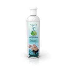 Camylle spa/jacuzzi-geur eucalyptus-mint 100% natuurlijk: Luchtwegen en spijsvertering - Jacuzzi-producten.nl