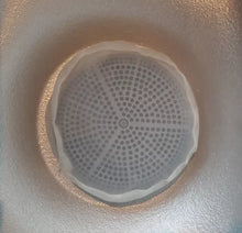 Sundance Spas Drain Cover - Mesh Filter (6540-213)