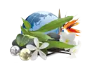 Camylle spa/jacuzzi-geur Polynésie 100% natuurlijk: revitaliserend