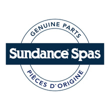 Sundance Spafilter 6540-490 - 46 x 21.5 cm origineel